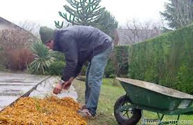 Toutes les écoles ayant des formations dans le même. Comment Devenir Paysagiste Sans Diplome Jardinier Pro