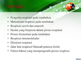 Respirasi pada tumbuhan, respirasi memiliki arti bernafas. Respirasi Tumbuhan Ppt Download