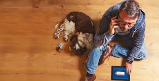 Ventura county animal services does not provide emergency veterinary care for owned animals. Pet Microchip For Dogs And Cats Homeagain Pet Id Recovery Service