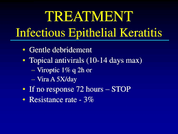 A controlled trial of oral acyclovir for iridocyclitis caused by herpes simplex virus. Ppt Diagnosis And Treatment Of Herpes Simplex Keratitis Update Powerpoint Presentation Id 1830592