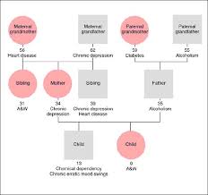 Standard Genogram Format In 2020 Genogram Template Family Genogram Therapy Worksheets
