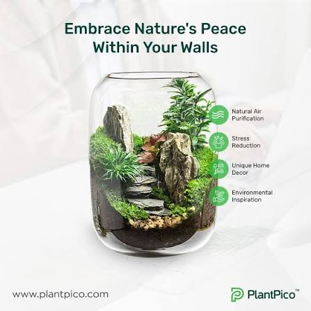 PlantPico (@plantpico) • Instagram photos and videos