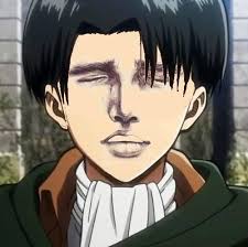 Image 635084 Attack On Titan Shingeki No Kyojin Know Your Meme So their will be spoilers later on if you haven't seen the. attack on titan shingeki no kyojin