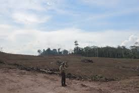 We did not find results for: Marisco Adaptive Management Of Vulnerability And Risk At Conservation Sites Older News 2011 2013