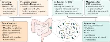 Your health care team will recommend treatment based on what will give you the best outcome, where the cancer is in the bowel, whether and how the cancer has spread, your general health, and your. Gut Microbiota In Colorectal Cancer Mechanisms Of Action And Clinical Applications Nature Reviews Gastroenterology Hepatology