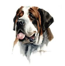 Saint Bernard Art Print Dog Painting By Watercolor Artist Dj Etsy St Bernard Dogs Watercolor Dog Dog Paintings