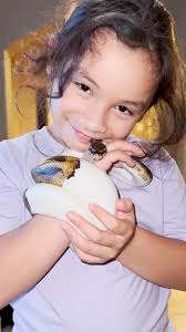 He loves to watch the iPad and draw pictures with her 💚🐍, Gizmo's mom  Veronica told us the very specific reason she got a snake for her daughter,  and how the bond between them formed right away!, Keep ...