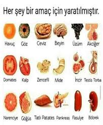 Saglik Saglikli Gidalar Gida Saglik