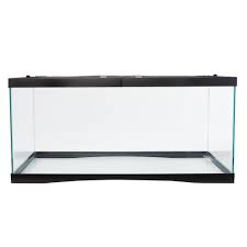 Thrive Reptile Terrarium 40 Gallon Size 36 L X 18 W X 18 H Reptile Terrarium Terrarium Reptiles