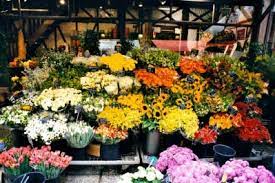 Maybe you would like to learn more about one of these? San Francisco Flowers And Florist Reviews