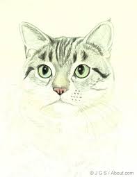 Draw A Majestic Cat In Colored Pencil Animal Drawings Color Pencil Drawing Watercolor Cat