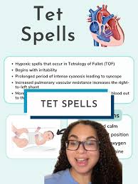 Image result for Tet Spell