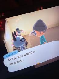 Your raymond james advisor will help you prepare for life's major financial milestones and every the strength of raymond james is reflected in both these ongoing accomplishments and in the. Raymond Is In My Campsite Right Now And I Really Want Him I Already Have 10 Villagers Is There Anyway He Can Move In Anyway Or Something I Need Help Animalcrossing