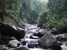 Air terjun browne merupakan air terjun yang terletak di atas doubtful sound, lokasinya di taman negara fiordland dengan ketinggian 836 meter. Air Terjun Stong Dabong Kuala Krai Kelantan Mapio Net