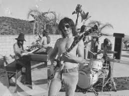 Image result for Dark Harvest Gold 1972 Fedders