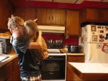 Discover the magic of the internet at imgur, a community powered entertainment destination. Snuggle Bobcat Gifs Tenor