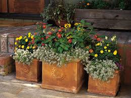 In spring, before the yucca and bergenia have returned to form, pansies and lamium steal the show. How To Pot A Plant And Create A Container Garden This Old House
