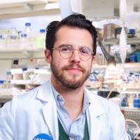 500+ "Duso" profiles