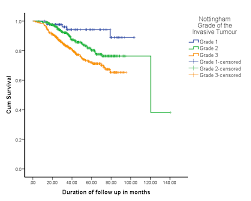 In the nottingham malaysia campus, much of the activities are overseen by an elected student governing body called the student association transfers are open to anyone getting good grades and whose degree subject is among those taught overseas. Http Www Mjpath Org My 2017 V39n2 Breast Cancer Pdf