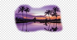 We did not find results for: Puerto Riko Televisi Definisi Tinggi Resolusi Layar 1080p Palm Beach Ungu Pantai Violet Png Pngwing