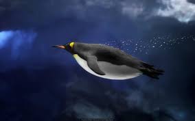 Free penguin wallpapers and penguin backgrounds for your computer desktop. Underwater Penguins Birds Hd Wallpapers Desktop And Mobile Images Photos