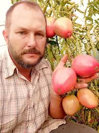 Gospodarstwo ekologiczne SAMO Zdrowie