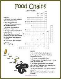 Food Chains Crossword Puzzle Worksheet Food Chain Worksheet Food Chain Activities Food Chain