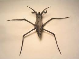creepy crawly origami origami diagrams origami insects striders