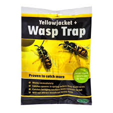 They're just punks with wings. Tanglefoot Yellowjacket Wasp Trap 1 Ct 1 Ct Instacart
