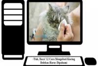 Biar lebih jelas lihat penjelasan di bawah ini. Obat Tetes Mata Manusia Untuk Kucing
