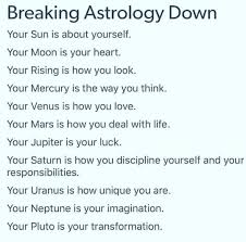 Pin On Venus