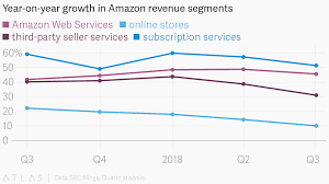 year on year growth in amazon revenue segments