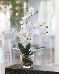 Tab Description Beauty And Style Undeniable Flair This Phalaenopsis Orchid Blooms From Lush Green Fo Orchid Arrangements Orchids Orchid Flower Arrangements