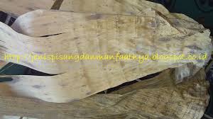 5 motor yang disembunyikan dibawah daun pisang di dusun darungan desa wonoayu kecamatan ranuyoso kabupaten lumajang, jawa timur. Nama Lain Daun Pisang Kering Jenis Pisang Dan Manfaatnya