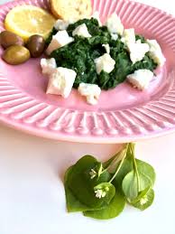 Winterportulak Rezept Mit Feta Rezepte Mit Feta Rezepte Portulak