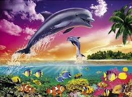 Font D Ecran Swag Dauphin 1 Image De Dauphin Dauphin Animales
