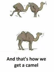 Tell the lazy friend to go back to sleep at their mom's house. And That S How We Get A Camel Meme On Me Me