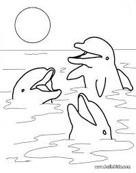 School's out for summer, so keep kids of all ages busy with summer coloring sheets. Coloring Pages For Adults Dolphins Coloring Home
