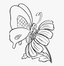 Butterfly Drawing Cartoon For Free Download Butterfly Free Coloring Pages Hd Png Download Transparent Png Image Pngitem Group shape a butterfly on white background vector.