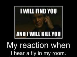 Fly I Will Find You And I Will Kill You Just For Laughs Funny Quotes Laughing So Hard