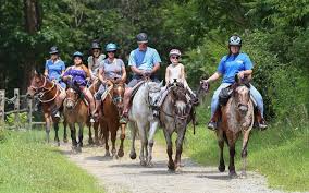 If you want to go camping with your horse, the first thing you'll need to do is find a campground. 2