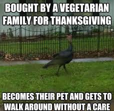November 28, 2019 by editorial team. 20 Happy Thanksgiving Memes To Help You Celebrate Sayingimages Com