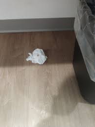 Ucook · cooking instruction & schoolstourist information & attractions. Woodspring Suites Merrillville 88 9 8 Updated 2021 Prices Lodging Reviews In Tripadvisor