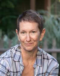 Are frames safe to use after a mouse infestation in a beehive?