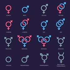 Tons of people use the rainbow flag to represent the lgbtq community, but it's not the only flag that people in the. Geschlechtssymbol Bedeutung Von Geschlecht Und Gleichstellung Von Mannern Und Frauen Premium Vektor