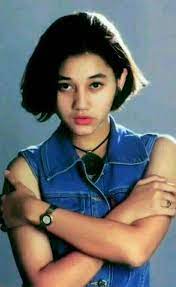 Dia juga sempat merekam 1 album & beberapa single dengan memakai nama nike astrina. Nike Ardilla Fans Club Home Facebook