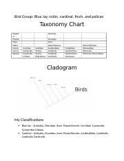 Classification Of Living Organisms 6 01 Docx Bird Group
