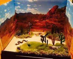 Desert Biome In A Box Desert Diorama Desert Diorama Habitats Projects Biomes Project