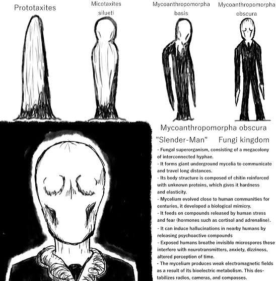 Slenderman and a biological explanation for how he works : r/Slender_Man