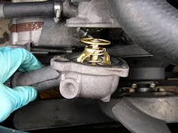 Your cooling system is what keeps your car from overheating. Mercedes Citrus Flush